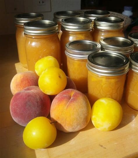 Low-sugar Peach and Yellow Plum Jam • Lady and the Carpenter LLC