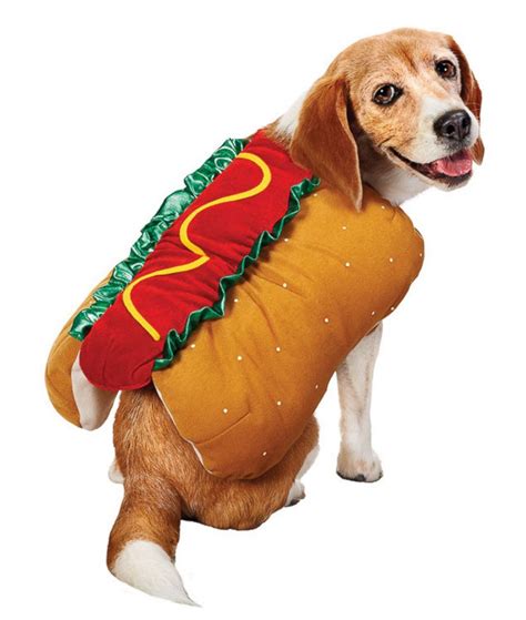 Hot Dog Picture | Halloween Costumes for Pets - ABC News