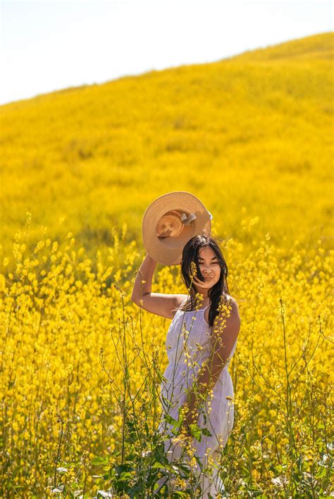 How to See the Chino Hills State Park Wildflowers (Mustard Blooms ...