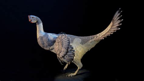 11 Terrifying Dinosaurs That Rocked Feathers Better Than Birds | Audubon