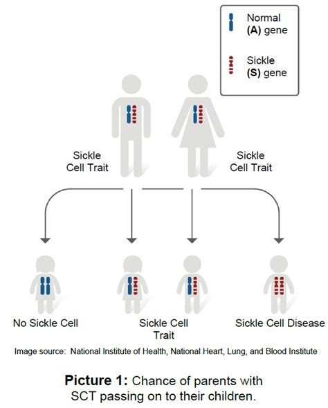 Sickle Cell Anemia Chart