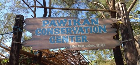 ThermoSciBloga: The Pawikan Conservation Center!