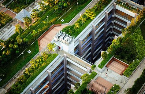 10 things to remember when designing rooftop gardens - RTF | Rethinking ...