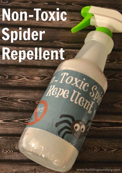 Homemade Non-Toxic Spider Repellent. Using Peppermint Oil for Spider ...