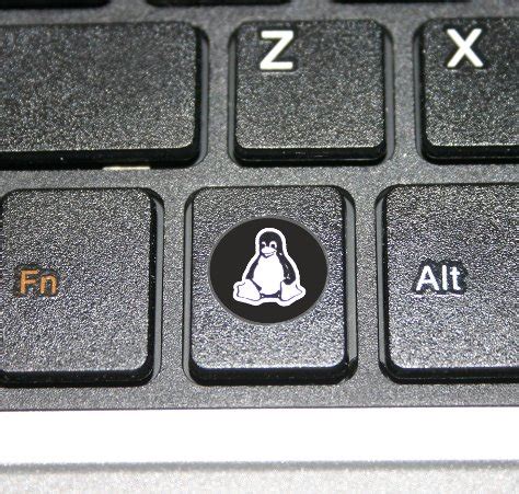 Tux Keyboard Sticker | ThinkPenguin.com