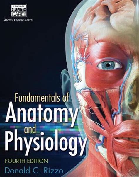 Fundamentals of Anatomy and Physiology, 4th Edition by Donald Rizzo ...