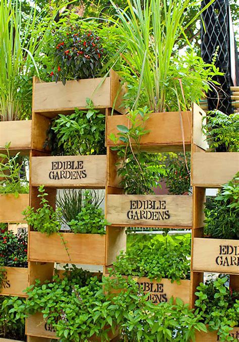 15 Unusual DIY Vegetable Gardens