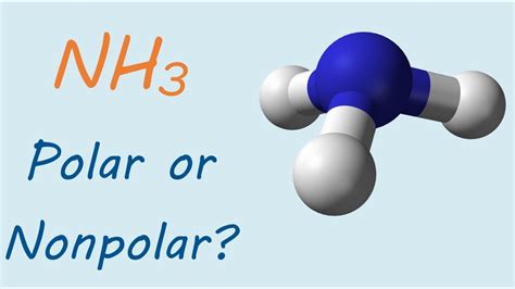 Is NH3 (ammonia) polar or nonpolar? - YouTube