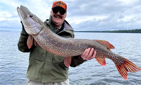 Handling and Releasing Northern Pike | Superior Country