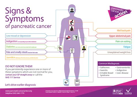 Signs & Symptoms of Pancreatic Cancer — Info You Should Know