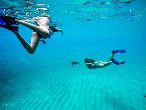 Snorkel Curacao For Reefs, Shallow Wrecks and the Blue Room