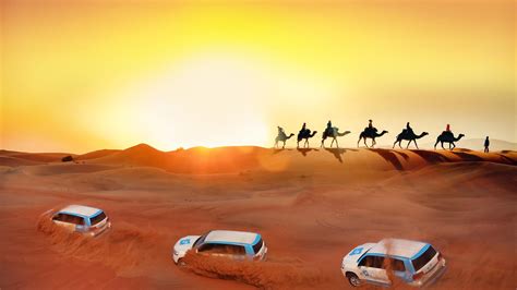 Find Adventure and Relaxation on the Arabian safari trip: - Travel ...