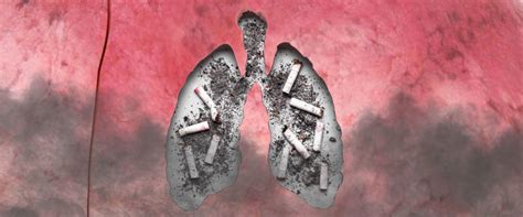 Quitting Smoking: Can Lungs Heal After Cigarettes?