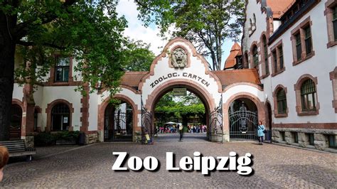 Zoo Leipzig - ein kleiner Rundgang - YouTube