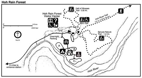 Hoh (Very Green) Rain Forest Trails