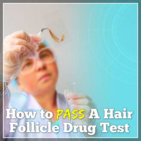 How To Pass A Hair Follicle Drug Test? [2022 Methods]