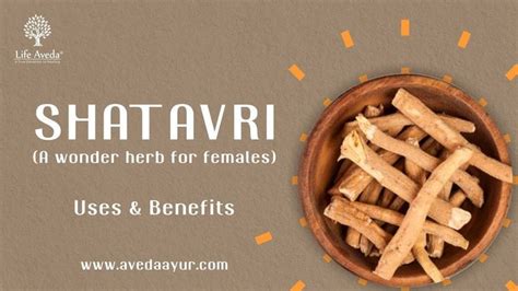 Incredible Ayurvedic Health Benefits of Shatavari | Best Hormonal ...