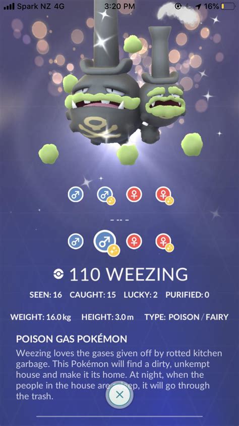 Shiny Galarian weezing doesn’t show in Pokedex like the alolans do : r ...