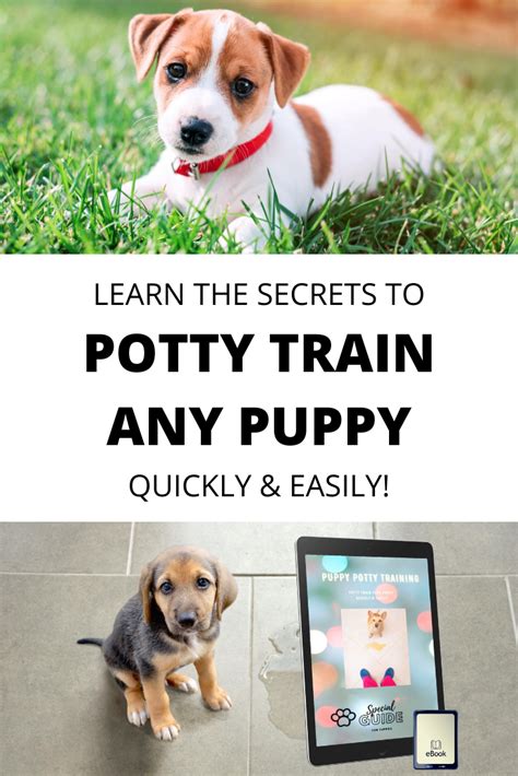 ⭐Potty Train Your Puppy Quickly & Easily⭐ | Potty training puppy ...