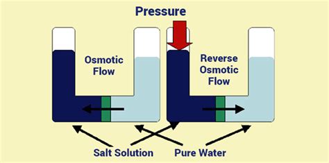 What Is Reverse Osmosis? - Definition & Working of Reverse Osmosis