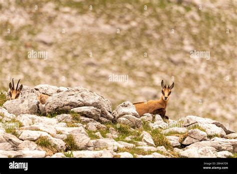 Rocky terrain hi-res stock photography and images - Alamy