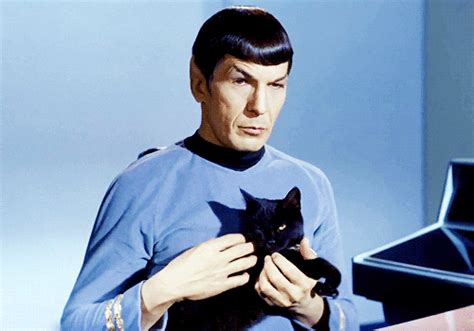 Spock GIF - Find & Share on GIPHY