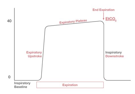 Quantitative Waveform Capnography - ACLS Medical Training