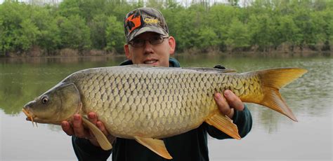 This is Ryan Murphy catching a carp. Carp is in carpe diem. Carpe diem ...