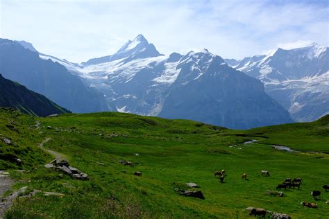 Grindelwald, Switzerland. A normal summer day. [6000x4000][OC] : r ...