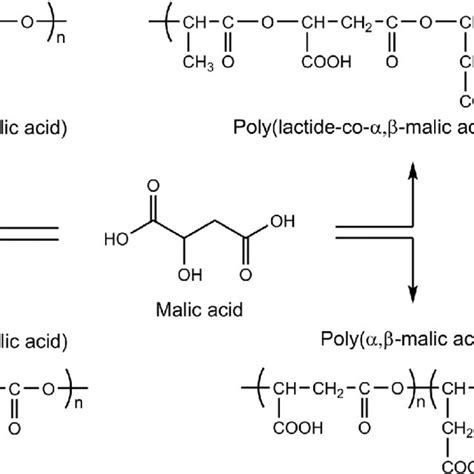 Chemical reaction route of DL-malic acid synthesis (solid arrow ...