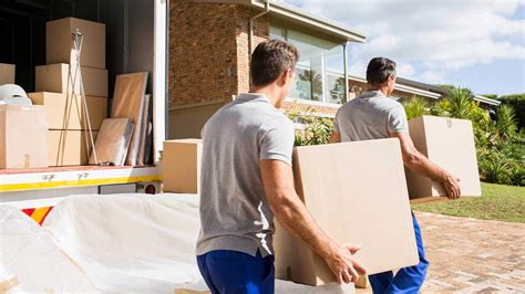 What To Do While Movers Are Moving: 12 Things