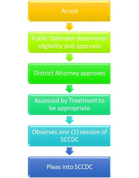 Chatham County, GA - Court System - Drug Court - How it Works