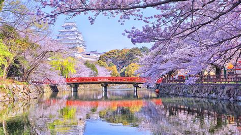 25 Selected japan spring wallpaper 4k You Can Use It Without A Penny ...