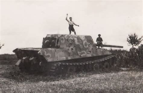 could me suggest some original camo for a Jagdtiger? - WWII ...