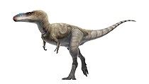 Sarcosaurus - Wikipedia