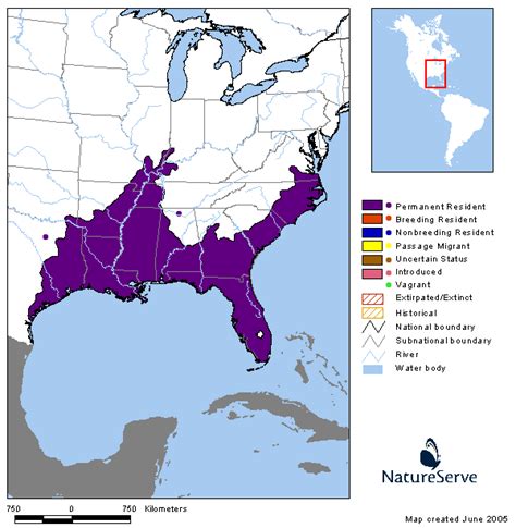 Tennessee Watchable Wildlife | Red-bellied Mudsnake