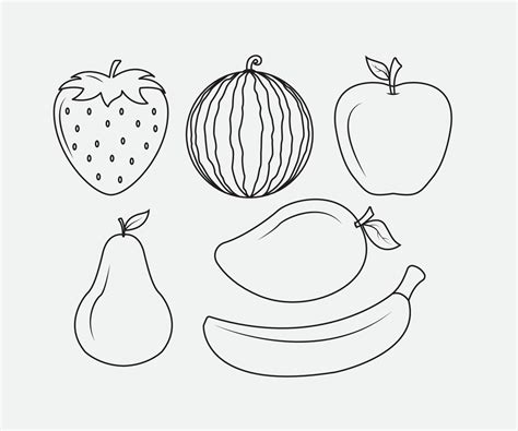 Fruit Line Drawing Vector Art, Icons, and Graphics for Free Download