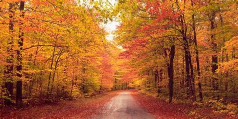 Beautiful Autumn Wallpapers