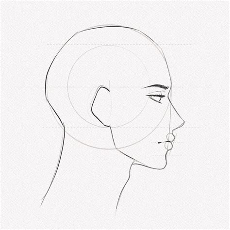 Human Body Side View Drawing Outline Drawing Sketch Of Side Profile ...