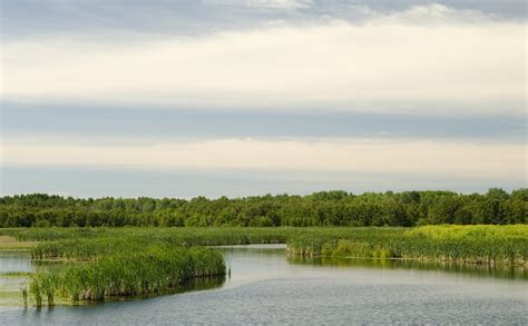 Hilliardton Marsh Provincial Wildlife Area — Ducks Unlimited Canada