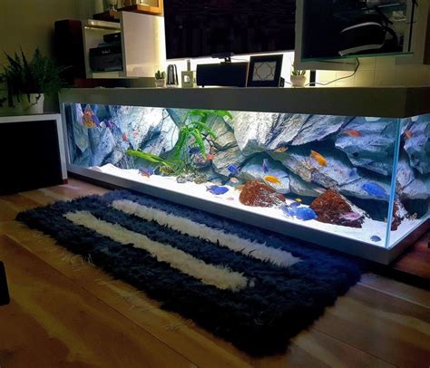 3D Aquarium Backgrounds & Fish Tank Decorations - Aquadecor | Fish tank ...