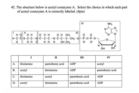 Solved 42. The structure below is acetyl coenzyme A. Select | Chegg.com