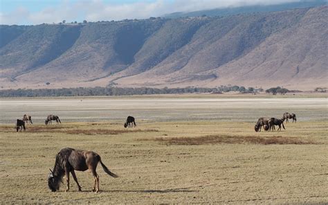 Ngorongoro Conservation Area | Across Wilderness Expedition