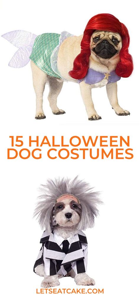 15 Funny Dog Costumes That’ll Make Everyone Say Yep You’re a Crazy Dog ...