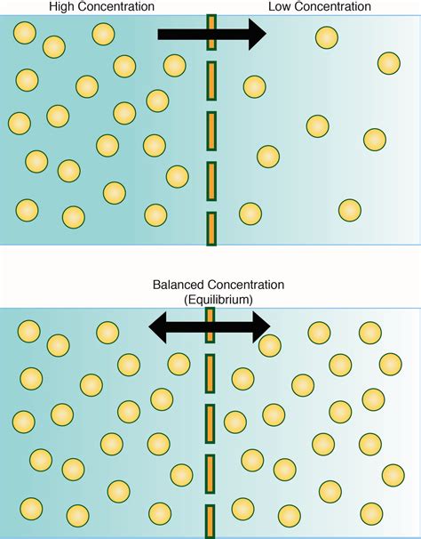 Simple diffusion. Simple Diffusion: Definition & Examples. 2019-01-14