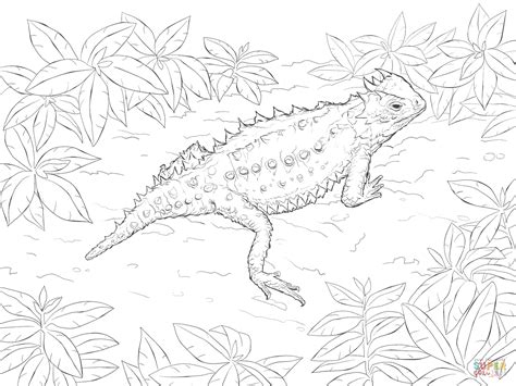 Desert Horned Lizard coloring page | Free Printable Coloring Pages