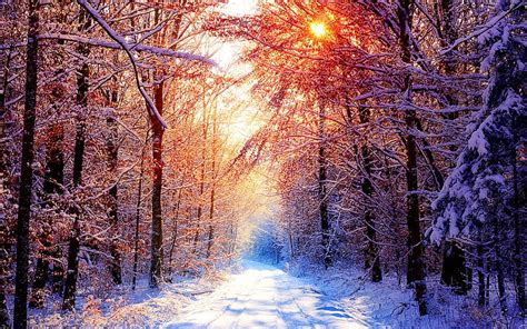 Winter scenes-the cold winter landscape, HD wallpaper | Peakpx