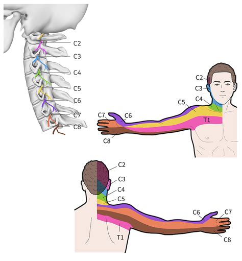 Neck, Back, and Shoulder Pain - ResilientRx