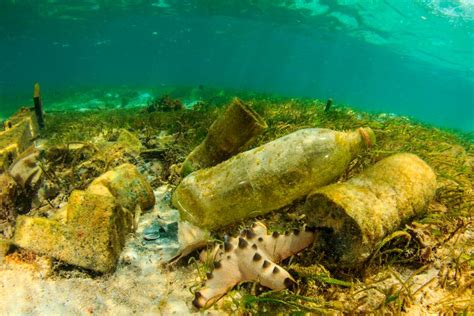 Fotos impactantes: esto sucede con el plástico que se bota al mar