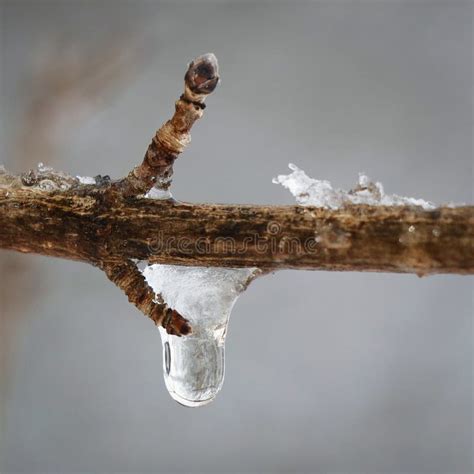 Ice drop stock image. Image of snow, fall, cold, water - 16923047